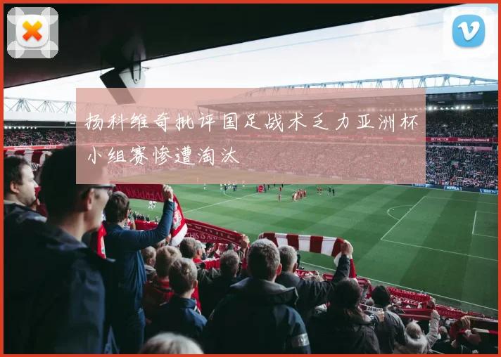 扬科维奇批评国足战术乏力亚洲杯小组赛惨遭淘汰