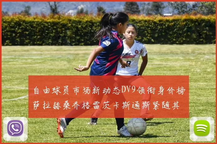 自由球员市场新动态DV9领衔身价榜萨拉赫桑乔格雷茨卡斯通斯紧随其后